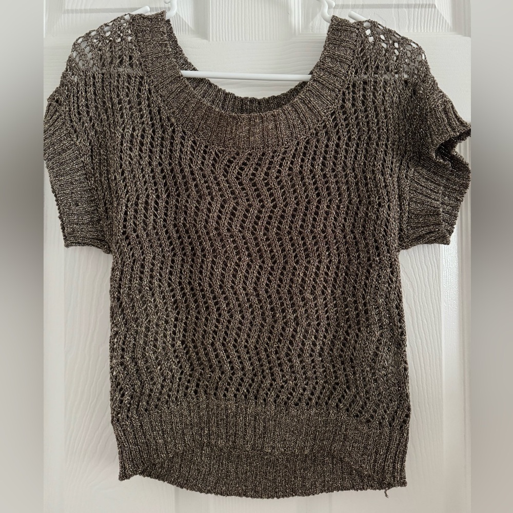 Women's Brown Knit Sweater with some sparkle